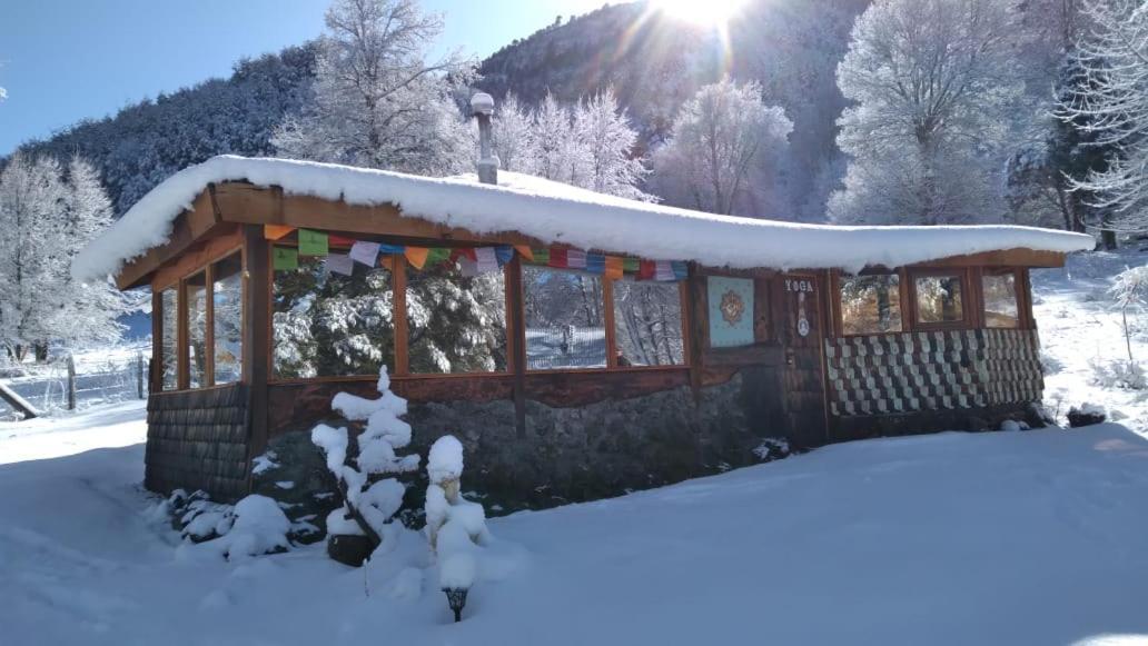 4 Coihues De Sollipulli